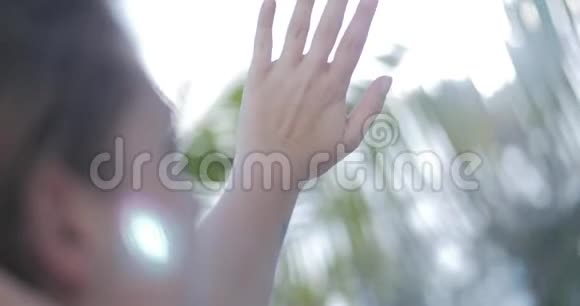 在热带海滩的风中女孩紧握着穿过树木的手指和树叶的太阳之手视频的预览图