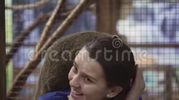 科蒂坐在一个可爱女孩的肩膀上把鼻子戳进她的头发里视频的预览图