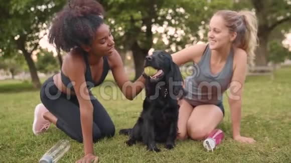 多民族健身青年妇女跪在绿草地上嘴里含着球爱可爱的狗视频的预览图