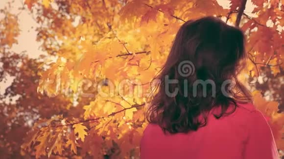 欢快的年轻女子用秋叶看镜头的画像视频的预览图
