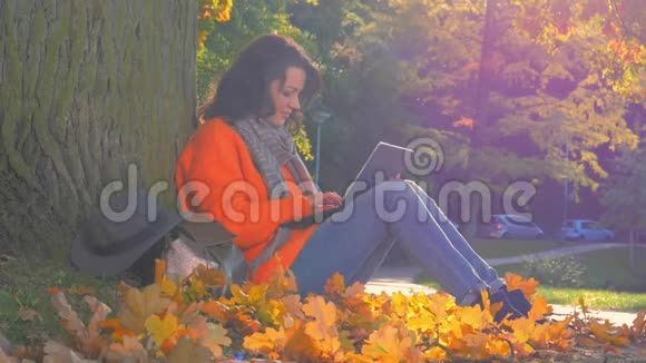 美丽的女人在秋天公园用笔记本电脑工作视频的预览图