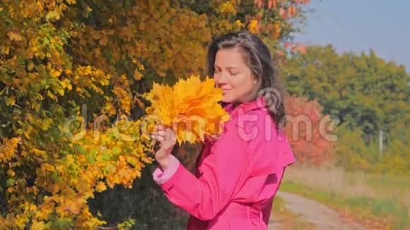 秋叶欢快的年轻女子的肖像享受秋天的时光视频的预览图