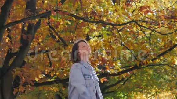 浪漫的秋天心情公园里举着胳膊的女人肖像视频的预览图