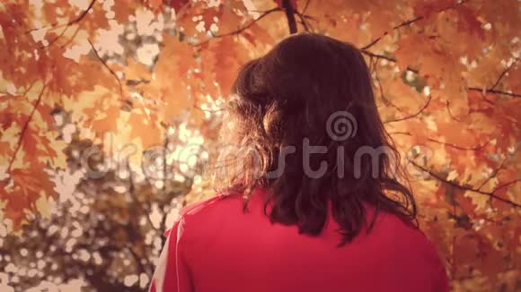 秋叶秋时欢快的年轻女子画像视频的预览图
