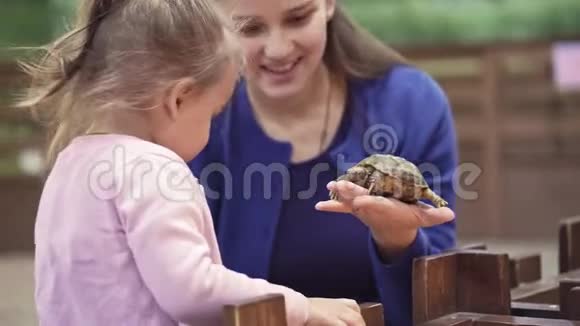 可爱的亚洲孩子抱着乌龟玩她不怕拿在手上自我学习的概念视频的预览图