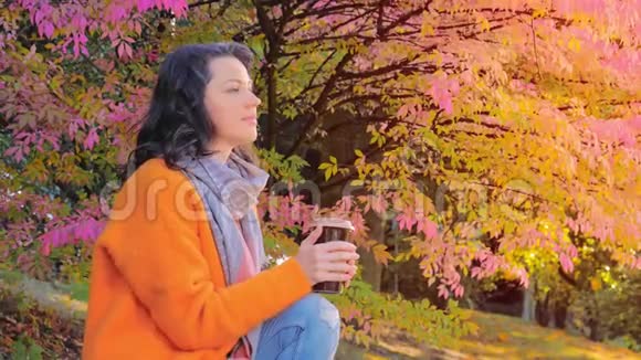 坐在秋园里喝茶的漂亮姑娘穿着羊毛衫视频的预览图
