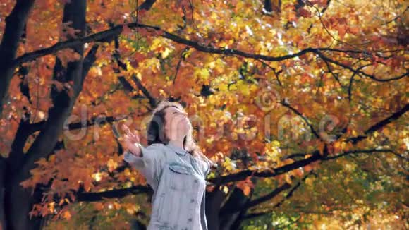 浪漫的肖像公园里的幸福美丽的女人秋天的落叶视频的预览图