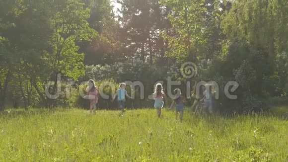 阳光明媚的夏日一大群孩子穿着便服微笑着在公园里奔跑视频的预览图