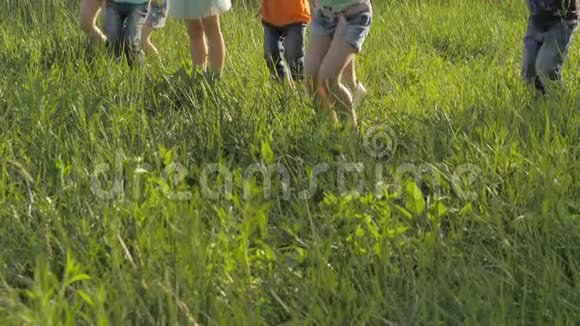 一群孩子在阳光明媚的夏日在公园的草地上跳跃视频的预览图