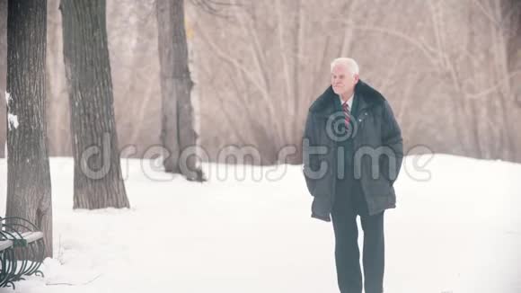 一位白发苍苍的老人在下雪的时候在雪地公园散步视频的预览图
