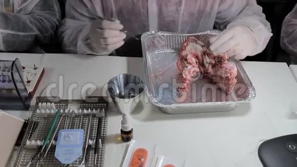 牙医用一种工具在猪的下巴拔出一颗牙齿牙医用一只猪的模型测试他的牙医技能视频的预览图