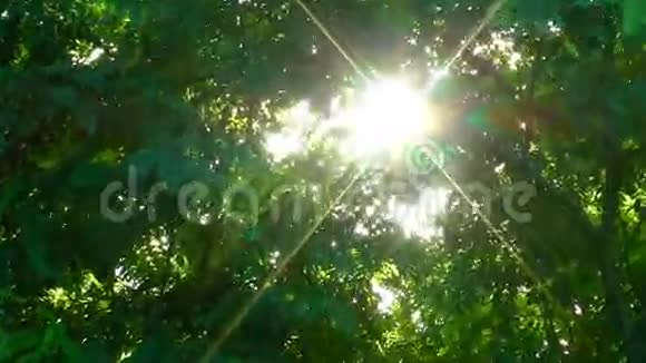 太阳光束视频的预览图