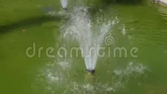 喷水池里有绿色的水视频的预览图