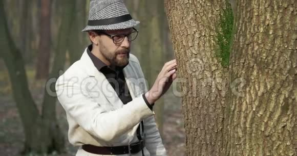 大胡子男子检查老树上青苔的画像视频的预览图