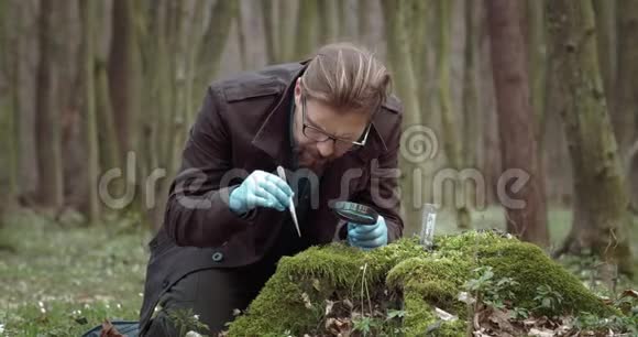 生物学家在森林里检查苔藓视频的预览图