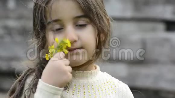 特写一个小女孩在花园里捡拾和玩一些黄花的画像视频的预览图