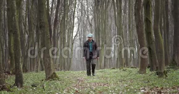 大胡子植物学家在春天的森林里散步视频的预览图