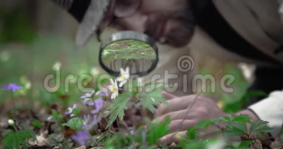 植物学家在小花上看放大镜视频的预览图