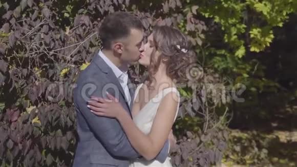 年轻的情侣在秋天公园里接吻视频的预览图