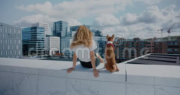 年轻的女人和她的狗看着城市的天际线视频的预览图