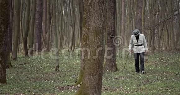 成熟的人穿过森林探索老树视频的预览图