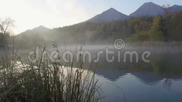 早晨雾蒙蒙的湖视频的预览图