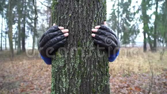 戴着拳击手套的年轻人拥抱森林中的树热爱大自然成年白种人男性环保手视频的预览图