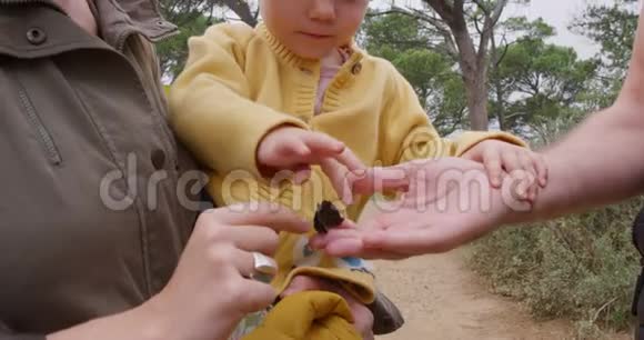 森林中白种人家庭近景视频的预览图