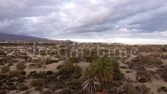 在马斯帕洛马斯的沙丘上飞回来视频的预览图