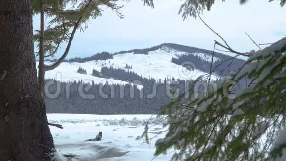 一个背着背包的人在冬天的森林里散步视频的预览图