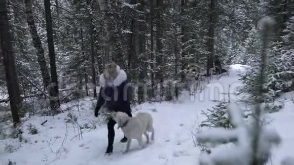 冬天下雪时带着狗拉布拉多的女孩在树林里散步视频的预览图