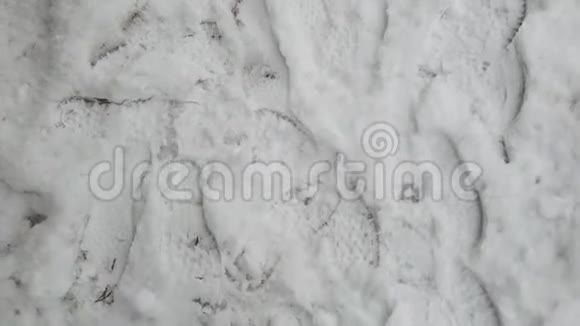 在雪地上行走的俯视图视频的预览图