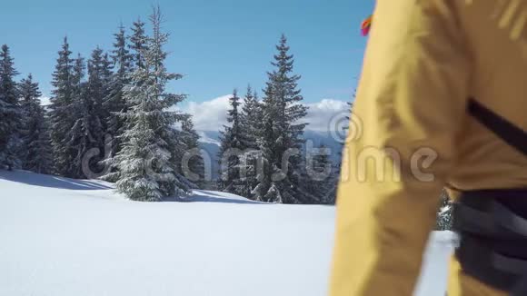 一个背着背包的人走过冬天的森林视频的预览图