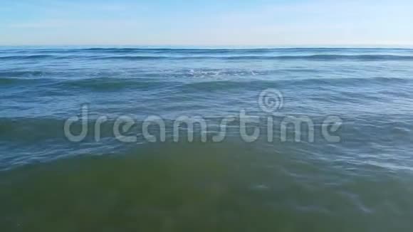 从海中带着小海湾视频的预览图