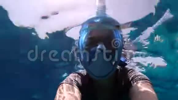 戴着面具的快乐女人在埃及游泳和看水下珊瑚视频的预览图