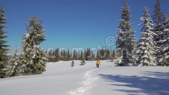 一个背着背包的人走过冬天的森林视频的预览图