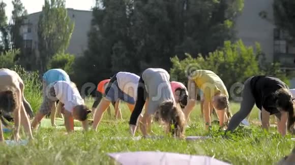 参加公园外瑜伽课的大人和小孩视频的预览图