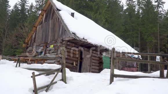 旅行者从冬天森林里的木屋里出来视频的预览图