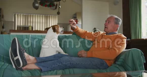 老人在家玩他的狗视频的预览图