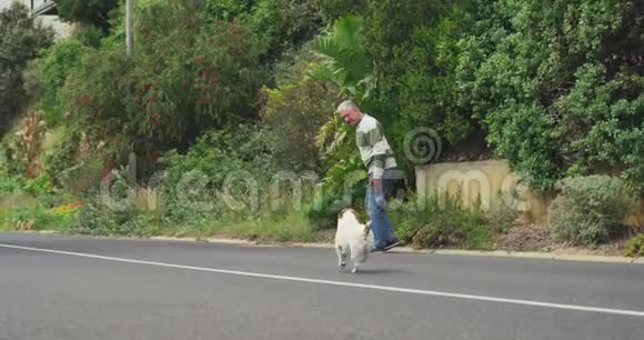 老人和他的狗在街上散步视频的预览图