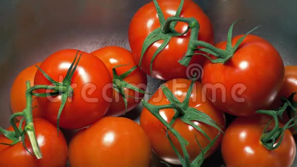 葡萄藤上的西红柿在水槽里洗视频的预览图