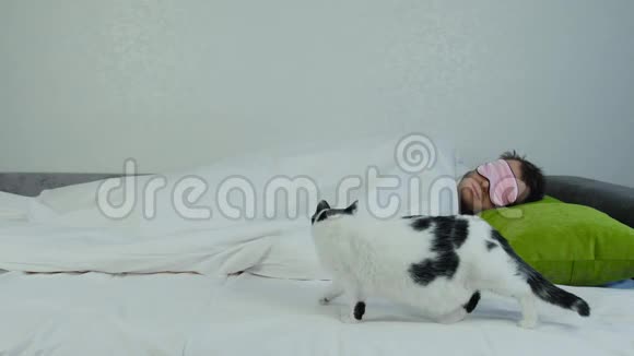 猫慢慢地爬起来穿过床坐在躺在毯子下面的睡觉主人旁边白种人视频的预览图