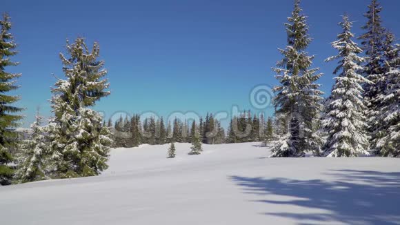 男子背包客游客行走雪景视频的预览图
