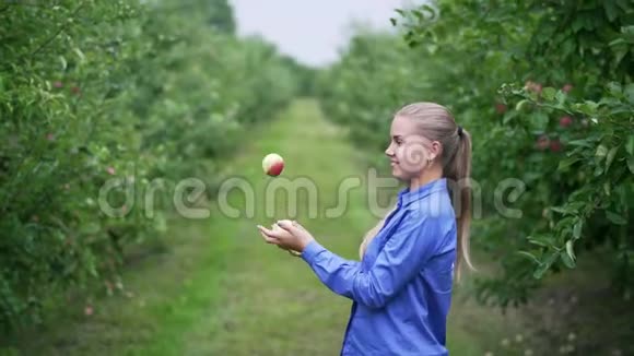 一个穿蓝色衬衫的女孩在苹果园里摆弄苹果视频的预览图