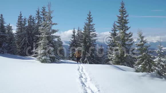 男子背包客游客行走雪景视频的预览图