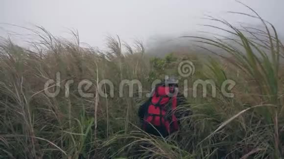 人爬上去在一座雾蒙蒙的大山上走过野荡的草视频的预览图