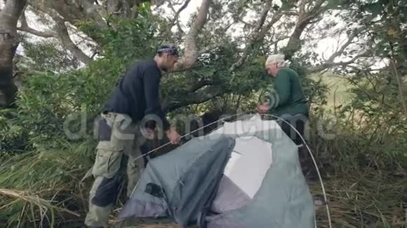 父子俩在丛林里搭帐篷视频的预览图