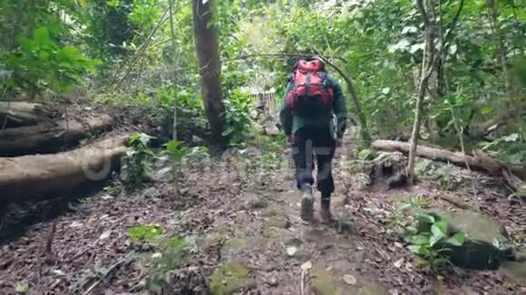 游客徒步旅行者背包客在森林丛林的山上徒步旅行后景视频的预览图