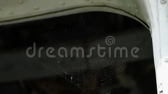 入口的蜘蛛网视频的预览图