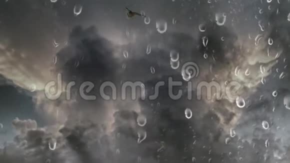 雨云和一群鸟视频的预览图